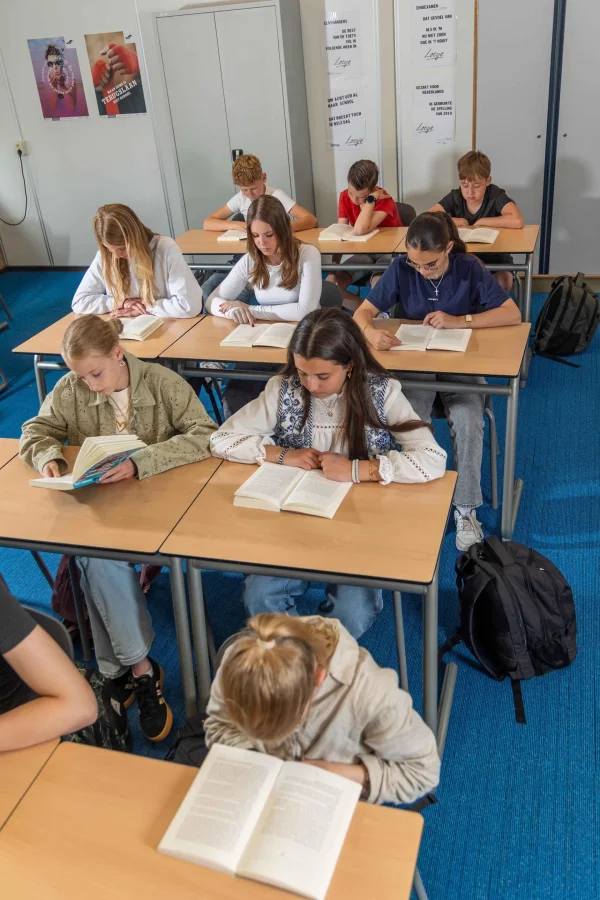 Decoration Dyslexiebegeleiding bij Pius X in Rijssen